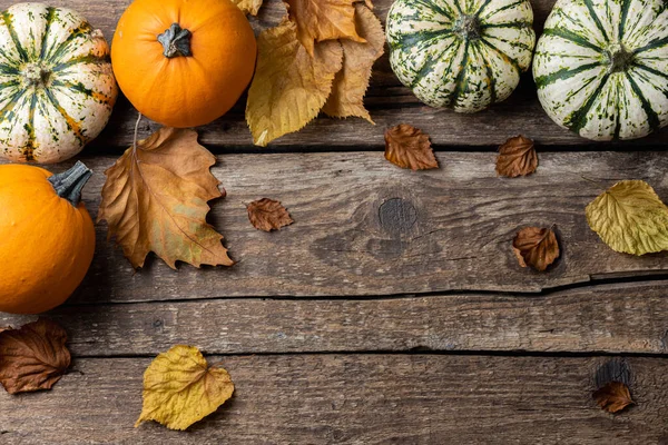 Decoración Festiva Otoño Calabazas Hojas Otoño Sobre Fondo Rústico Madera — Foto de Stock