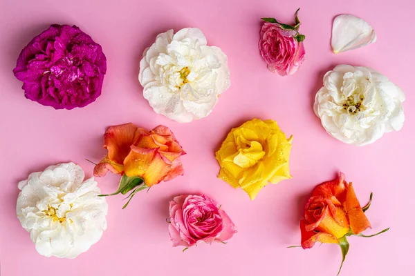 Padrão Floral Feito Flores Rosas Coloridas Fundo Rosa Deitado Plano — Fotografia de Stock