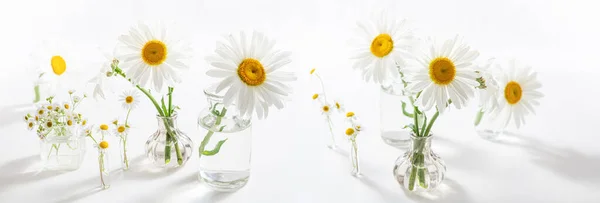 Beautiful Chamomiles Flowers Glass Vases White Table Floral Composition Home — Stock Photo, Image