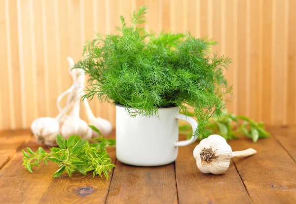 Dill i en emalj mugg — Stockfoto