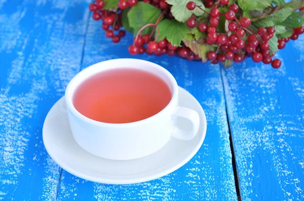 Bunches of viburnum. Tea of viburnum in white cup — Stock Photo, Image