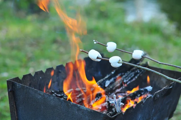Roasting marshmallows over a campfire in the evening — Stock Photo, Image