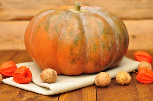 Pumpkin, walnuts and physalis on a wooden background — Stock Photo, Image