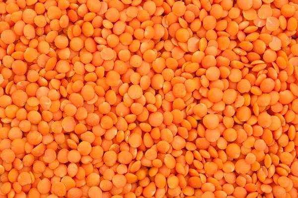 Fundo lentilhas vermelhas — Fotografia de Stock