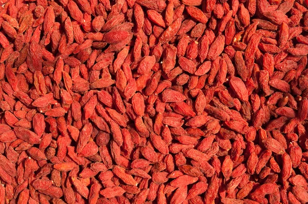 Bacche di goji secche sfondo — Foto Stock