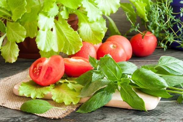 Basil leaves, fresh lettuce, tomatoes and thyme on a wooden tabl — Stock Photo, Image