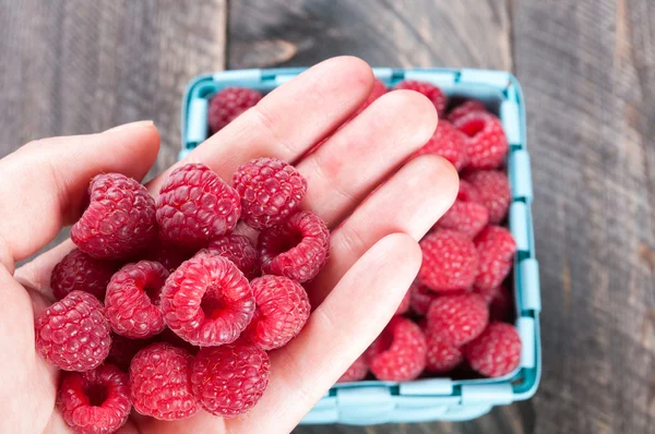 Fresh raspberries in a hand — Stock Photo, Image