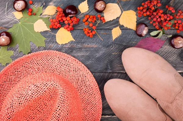 Zapatos de otoño de las mujeres, sombrero, hojas, castaño y serbal seco en un — Foto de Stock