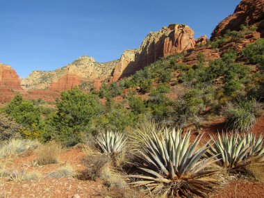 Sedona engebeli dağların yürüyüş manzarası