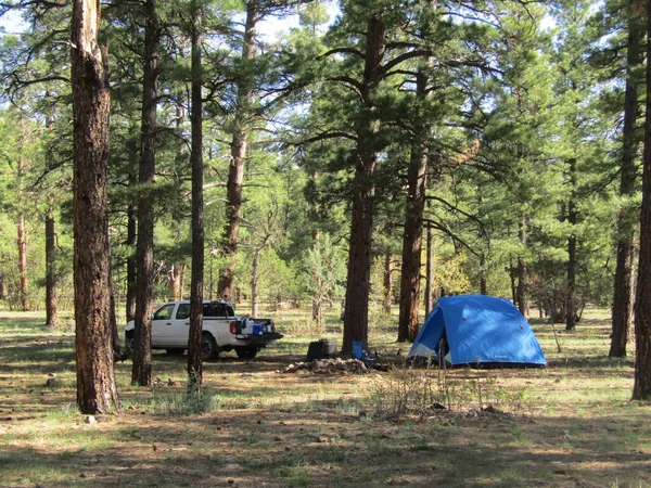 Camping Tallskog — Stockfoto