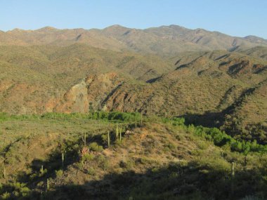 Arizona çöl manzaralı.