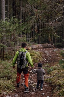 İki kişi, baba ve oğul, yürüyüş ya da çam ormanları, arka manzara.