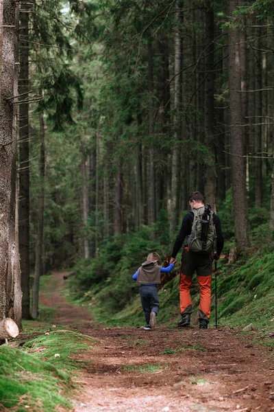 Father and Son Walking Through pine Woods
