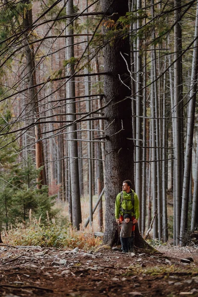 Padre Con Mochila Niño Pequeño Pie Cerca Gran Árbol Bosque Fotos De Stock