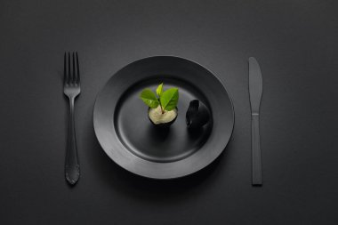 Siyah arka planda siyah bıçak ve çatalla siyah bir tabakta bitkinin filizlendiği kırık siyah yumurta. Kopyalama alanı olan üst görünüm. Minimalist siyah konsept.