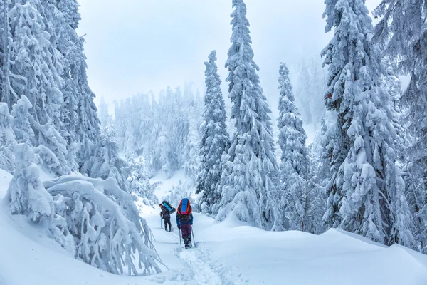 Historia del invierno — Foto de Stock