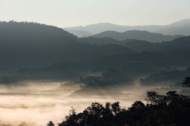 Phayao, Tayland 'da Phu Langka' nın sabah güneşinin doğuşu..