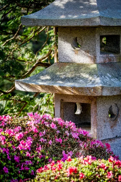 Giardino del tè giapponese — Foto Stock