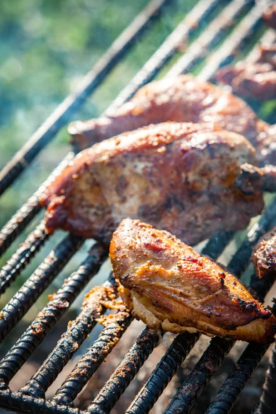 Pollo cocinando en un fuego abierto — Foto de Stock