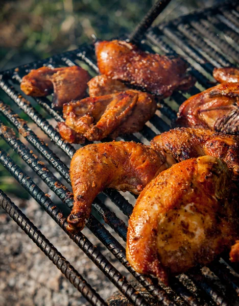 Cozinhar frango em uma fogueira aberta — Fotografia de Stock