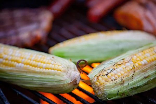 Hotdogs, steaks en zalm op een grill — Stockfoto