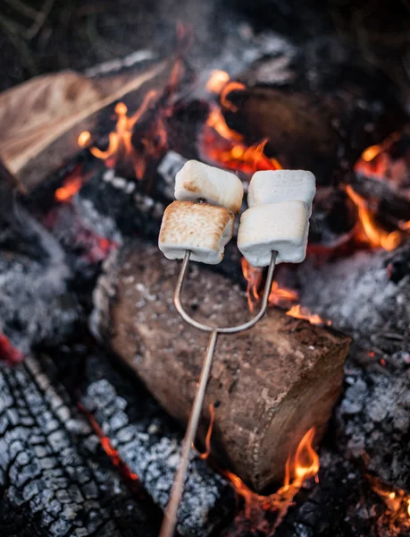 Smores över en eld — Stockfoto