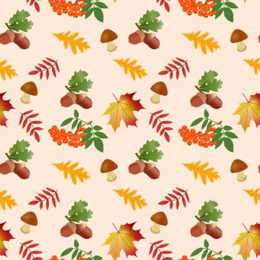 Güz, pürüzsüz desen. Akçaağaç, meşe palamudu, rowan, mantar, yapraklar, sonbahar yaprakları. Vektör