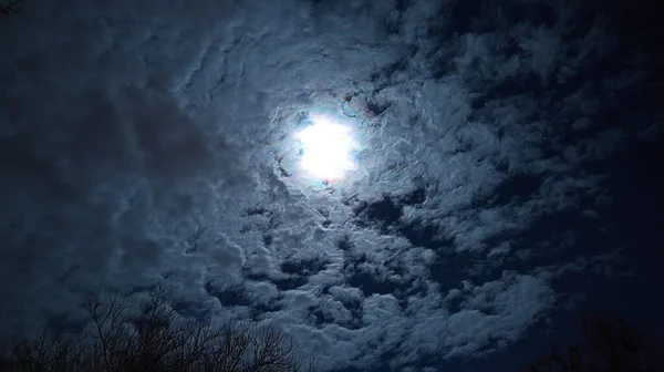 Luna Piena Inverno Cielo Scuro Scuro Freddo Inquietante Triste Guardando — Foto Stock