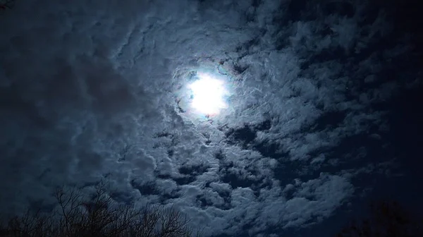 Lua Cheia Inverno Céu Escuro Frio Assustador Sombrio Olhando Para — Fotografia de Stock