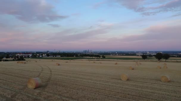 Película de drones volando sobre el campo agrícola por la noche con el horizonte de Frankfurt en segundo plano — Vídeo de stock