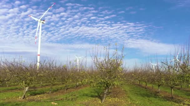 Drone Video Vuelo Través Campo Agrícola Con Vistas Rotación Turbinas — Vídeos de Stock