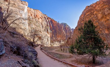 Kışın Zion Ulusal Parkı 'ndaki Pine Creek Kanyonu' na yürüyüş parkından alınan izlenim