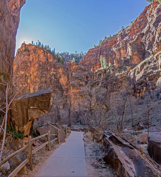 Kışın Zion Ulusal Parkı Ndaki Pine Creek Kanyonu Yürüyüş Parkından — Stok fotoğraf