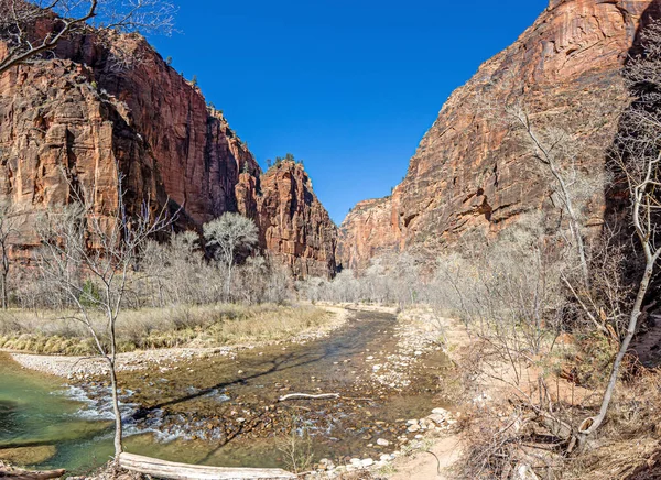 Kışın Zion Ulusal Parkı Ndaki Pine Creek Kanyonu Yürüyüş Parkından — Stok fotoğraf