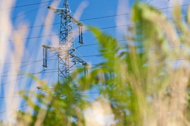 Çağdaş teknoloji ve doğa arasındaki zıtlık olarak, gün boyunca ön planda bulanık çimen ile güç direğinin görüntüsü