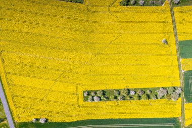 Gündüz vakti tipik sarı renkte tecavüz alanının dikey drone resmi