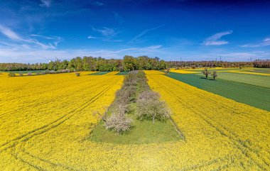 Gündüz vakti tipik sarı renkte tecavüz sahasının hava aracı resmi.