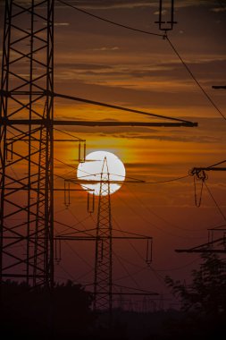 Yazın akşam güneşinde elektrik direkleri