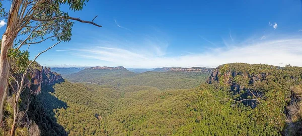 Panoramisch Uitzicht Blue Mountains Australische Staat Nieuw Zuid Wales Gedurende — Stockfoto