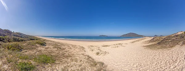 Panorama Sobre Una Playa Paradisíaca Costa Dorada Australiana Estado Queensland —  Fotos de Stock