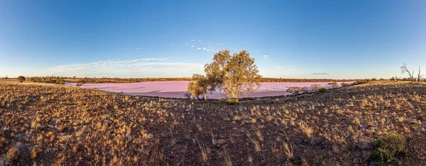 Panoramisch uitzicht op roze Lake Crosbie in Zuid-Australië Murray-Sunset nationaal park — Stockfoto