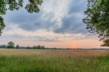 Scene of sunset in Gundwiesen nature reserve near Frankfurt airport in summer