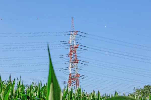 Imagen de una gran línea eléctrica de alto voltaje con colores de advertencia con postes de alta potencia para fuente de alimentación —  Fotos de Stock