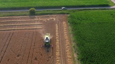 Drone video of a combine harvester harvesting in a wheat field in the evening in the low sun in autumn