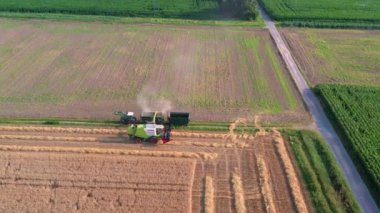 Drone video of a combine harvester harvesting in a wheat field in the evening in the low sun in autumn