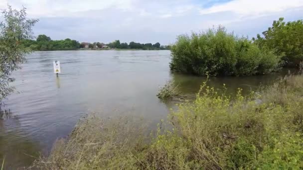 Wideo Silnym Prądem Zalanym Brzegiem Renu Podczas Powodzi Ciągu Dnia — Wideo stockowe