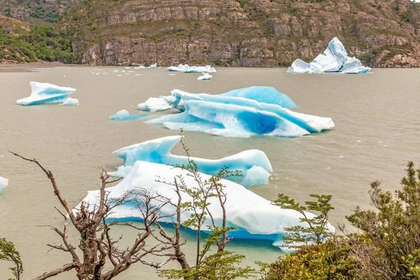 Imagem Panorâmica Sobre Lago Grey Com Icebergs Parque Nacional Torres — Fotografia de Stock