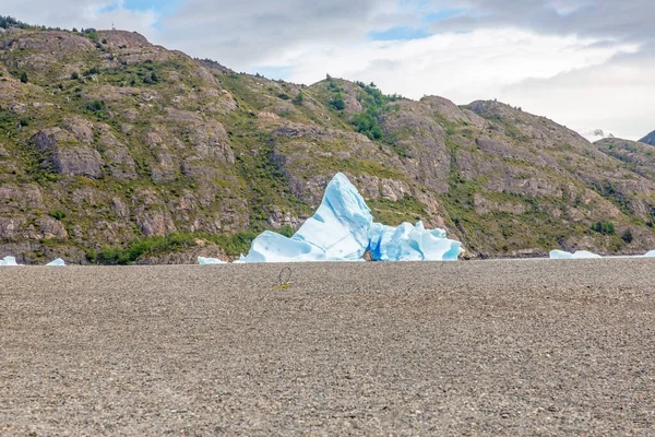 Patagonya Daki Torres Del Paine Ulusal Parkı Nda Yaz Aylarında — Stok fotoğraf