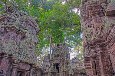 Angkor arkeolojik alanı Kamboçya 'da su hendeği yakınındaki taş heykel ve yansıması olan ağaçlar