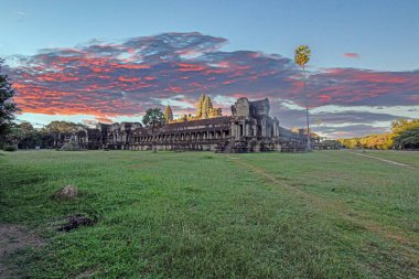 Siem Reap Kamboçya 'da renkli bulutlar ve yeşil çimlerle Angkor Wat tapınağı üzerinde gün batımı